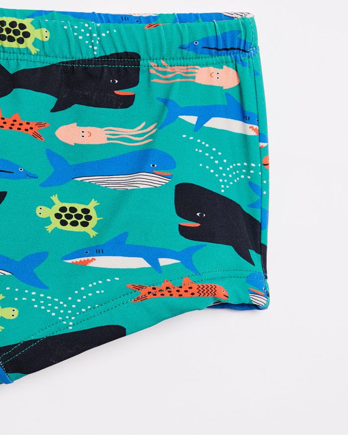 510476_14795_2-SUNGA-VELEJAR