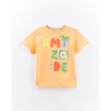513872_0000_1-CAMISETA-SILK-AMIZADE