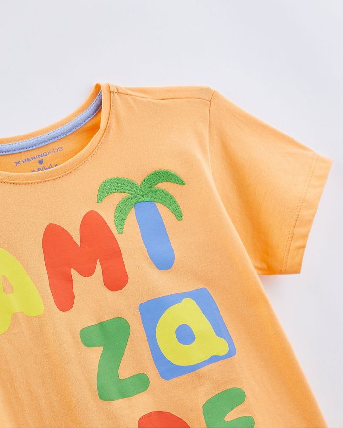 513872_0000_2-CAMISETA-SILK-AMIZADE