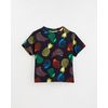 513008_22153_1-CAMISETA-POPFRUIT