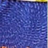 514369_42062_10-MACACAO-MARGARIDA