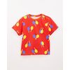 514039_42097_1-CAMISETA-FRESCOBOLA