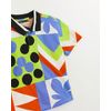 512533_19763_2-CAMISETA-OVERSIZED-BANDEIRAS