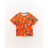 514923_42888_1-CAMISETA-BICHINHOS-DA-NOITE
