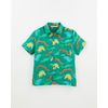 516270_46347_1-CAMISA-RUGIDO-VERDE