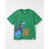 518231_10038_1-CAMISETA-SILK-AMAZONDINO