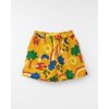 518761_52093_1-SHORT-VOO-ALEGRE