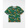 518540_50265_1-CAMISETA-MALHA-DINOLINHA
