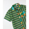 518306_9918_2-CAMISA-JUNINO-LISTRADO