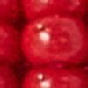 518649_0000_10-KIT-TIC-TAC-JACARE