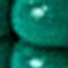 518650_0000_10-PULSEIRA-JACARE