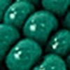518928_0000_10-COLAR-JACARE