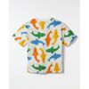 517891_49508_3-CAMISETA-MALHA-TUBARAO-OFF