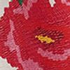 519497_51888_10-CALCA-FLORERIA