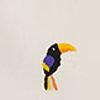 519071_52869_10-BERMUDA-TUCAN