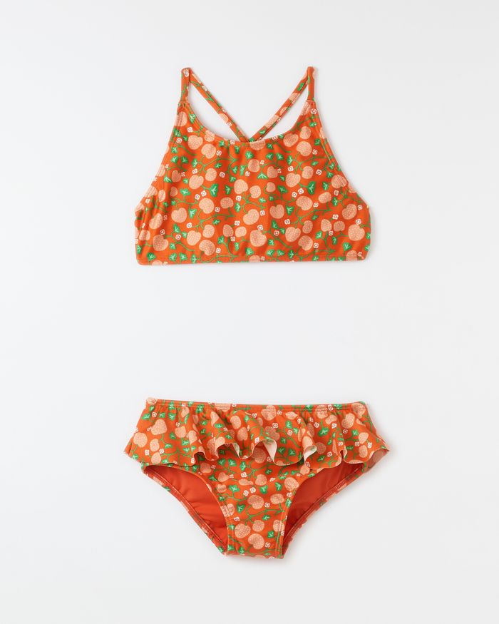 520162_53758_1-BIQUINI-FRUTILLAS