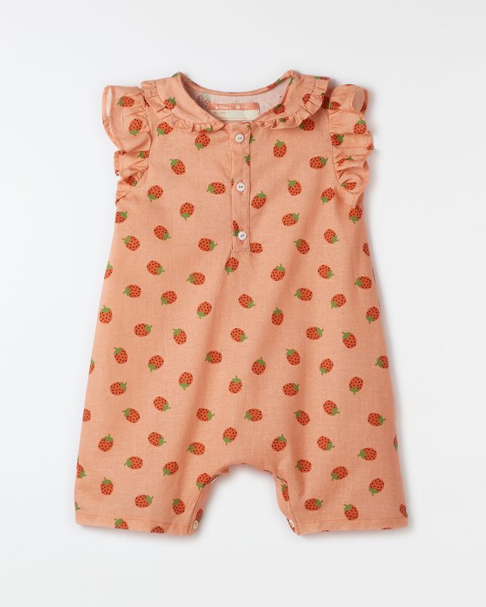 519973_53712_1-MACAQUINHO-BEBE-BROTINHO