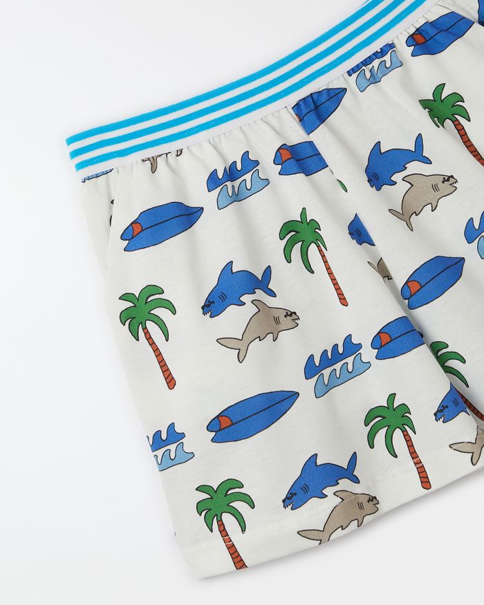 520059_53756_2-SHORT-SURFEI