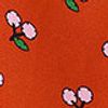 520684_55306_10-VESTIDO-CEREJEIRA