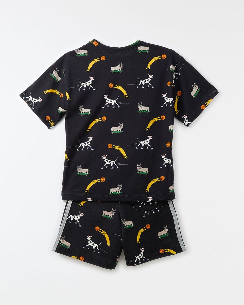 Conjunto Vamos Passear